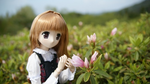 20150429植樹祭　0.jpg