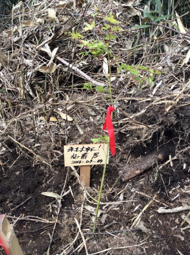 2016-09-04 12.23.12.jpg