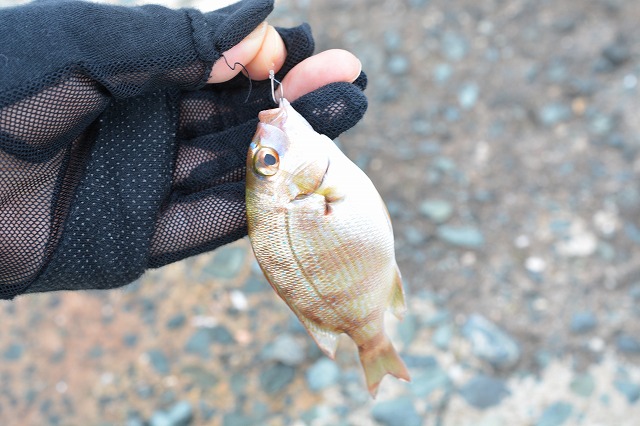 showPhoto (640×426)