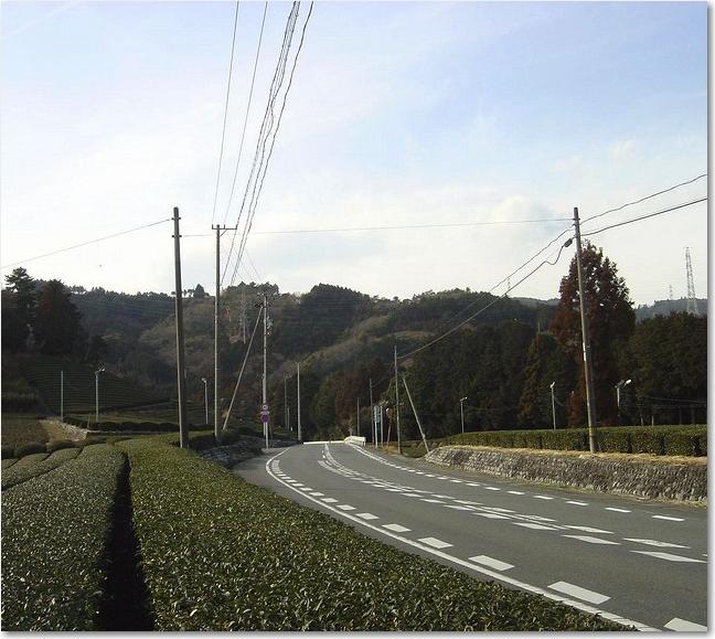 28茶畑国道.JPG