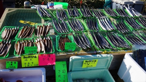 20150108 13412101.JPG