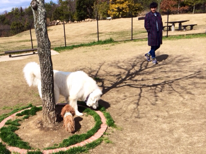 201403231104_6692_iphone.jpg