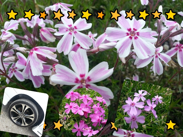2013-05-27-15-31-09_deco.jpg