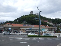 29.jpg