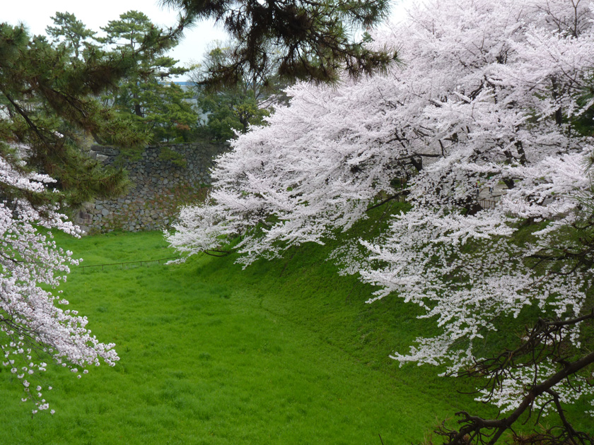 nagoyajyo-w012.jpg