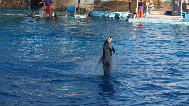 20151111 15452901.jpg