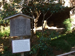 19.jpg