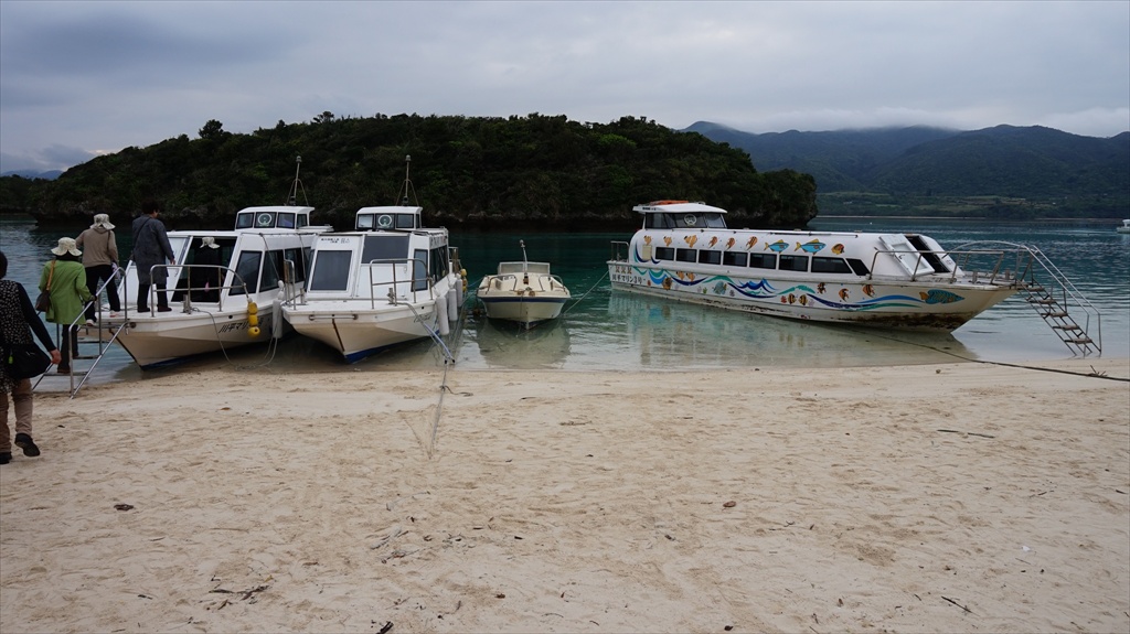 20150224 08121101.JPG