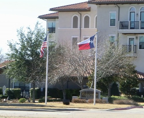 us and tx flags.jpg