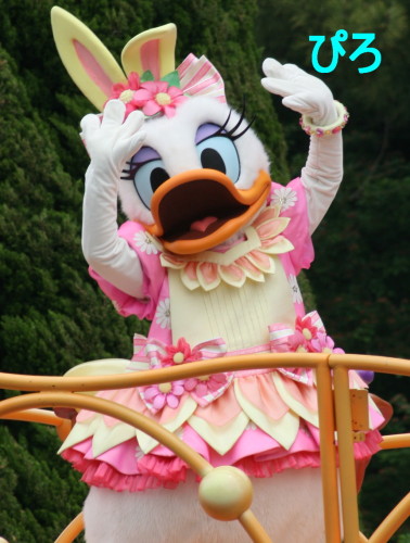 デイジーさん＠ヒピホピ