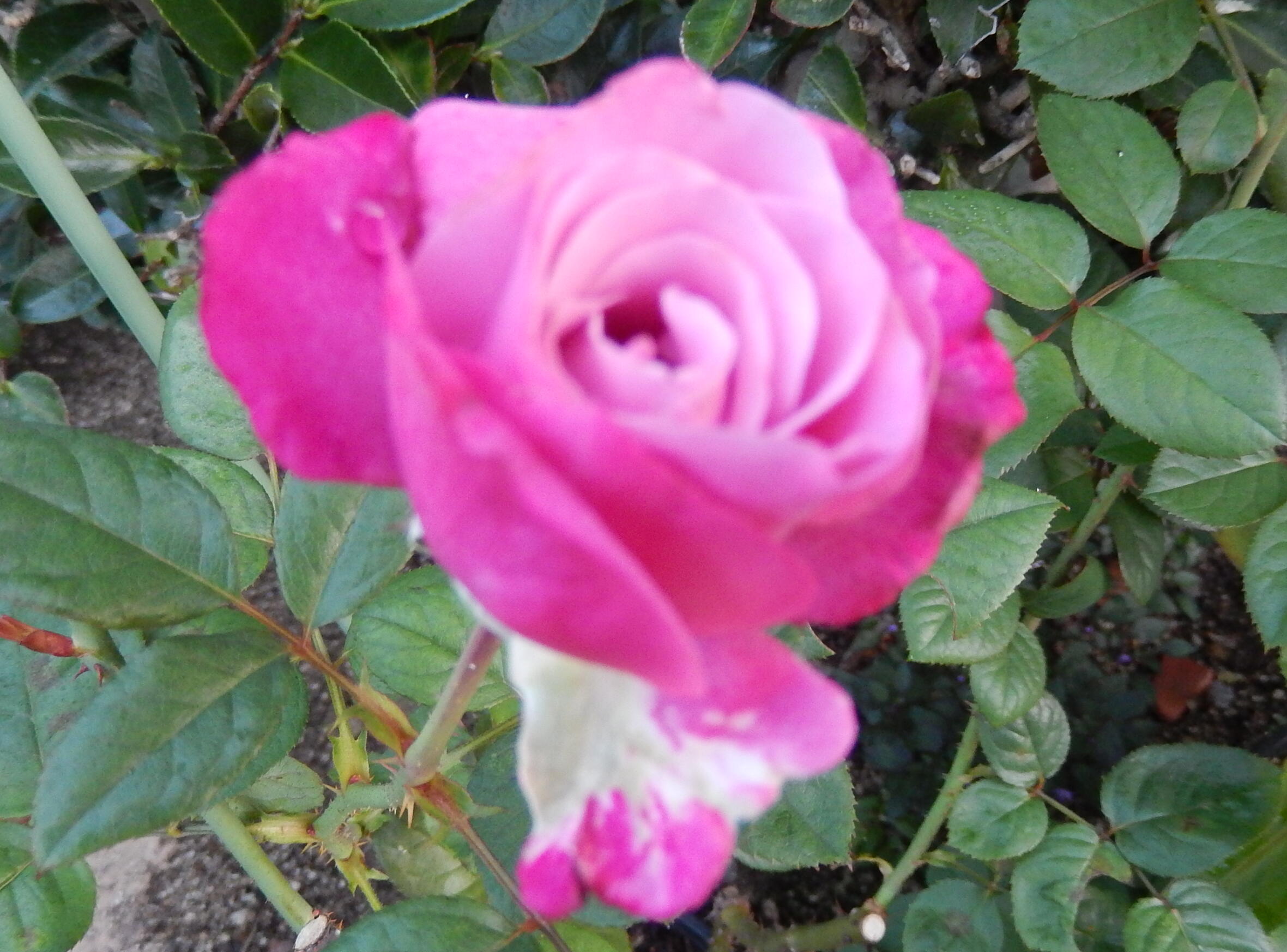 140928-2-7.jpg