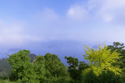 DSC01503 (400x267).jpg