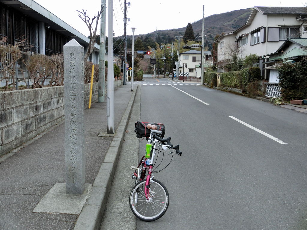 20110306-16.jpg