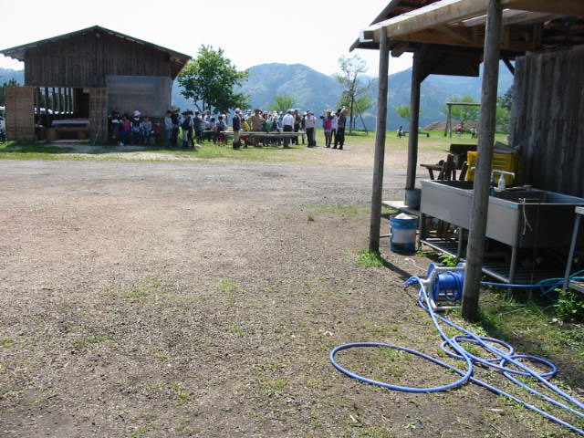 takenokokari 006.JPG