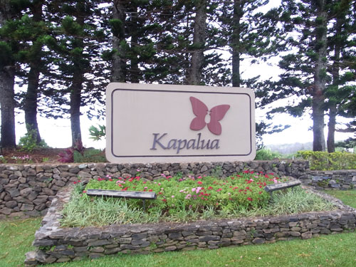 Kapalua-gait.jpg