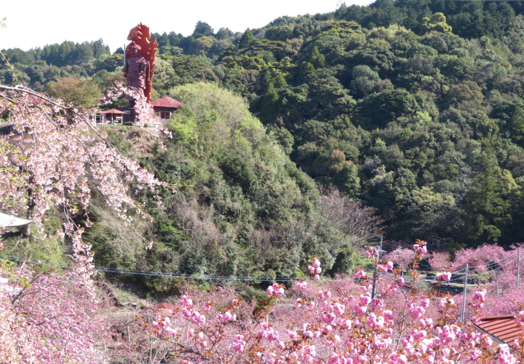 一心寺 (3).jpg