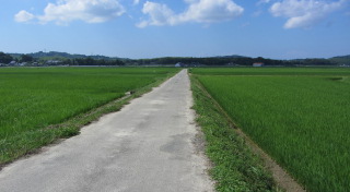 C:\fakepath\IMG_3459.JPG