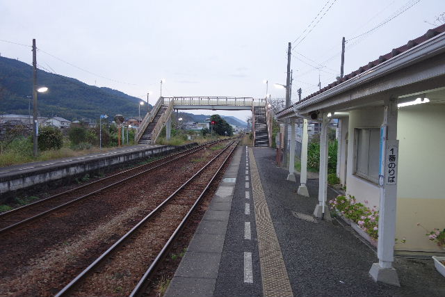 DSC04725.JPG
