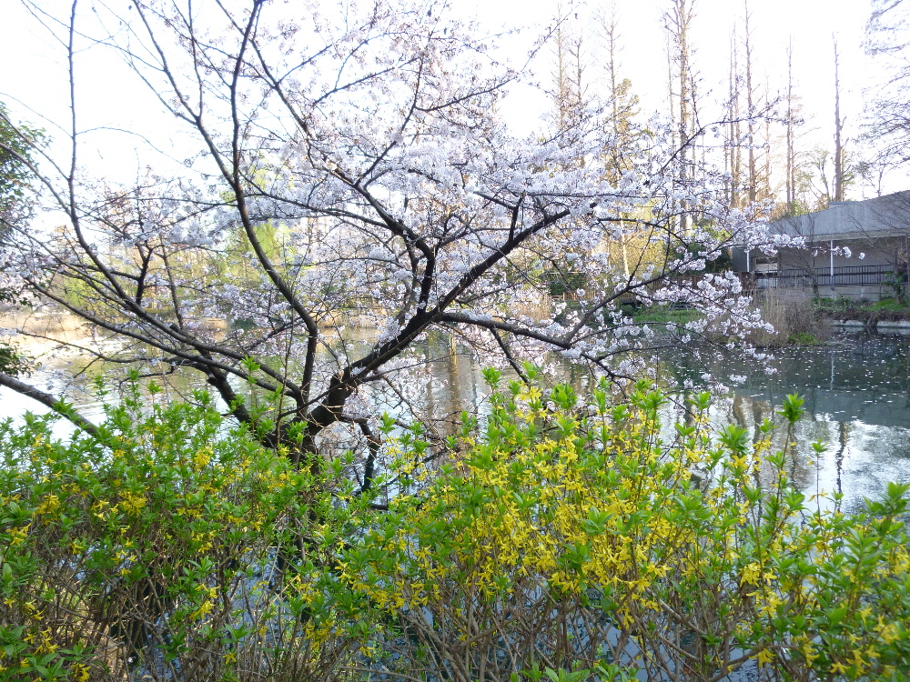 P1120198.JPG