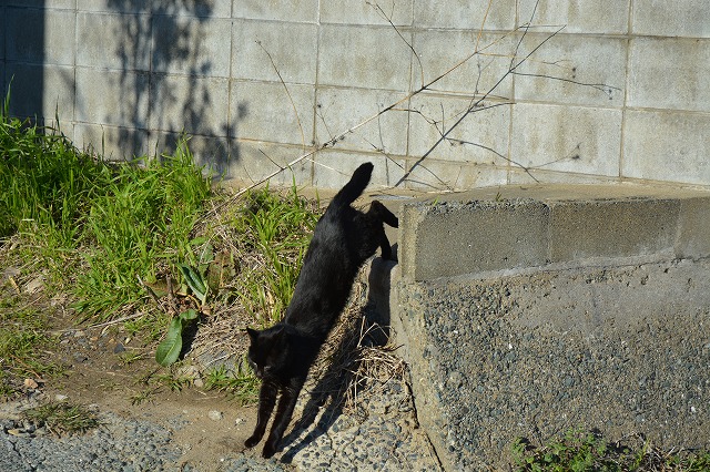 showPhoto (640×426)