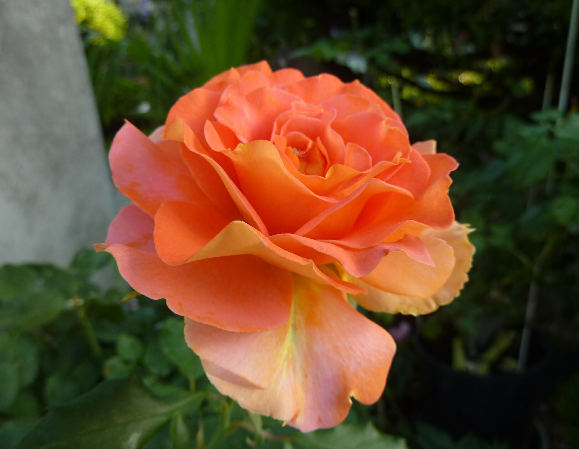 140608-1-0.jpg