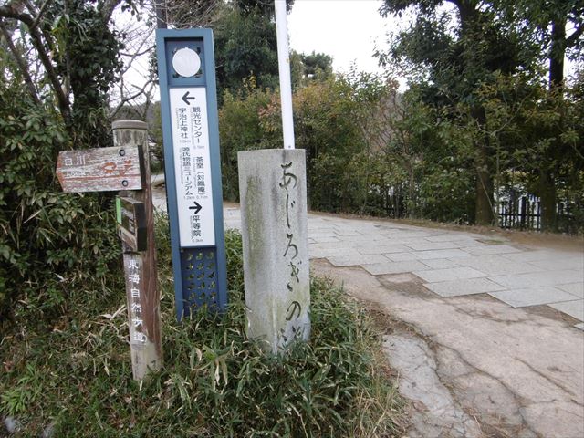 P1270625.JPG