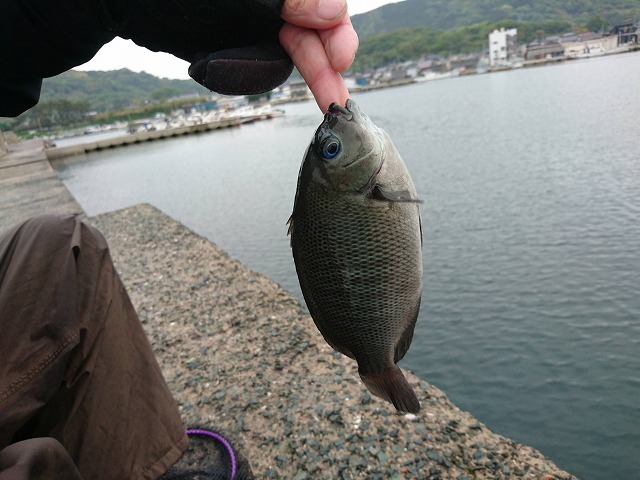 showPhoto (640×480)