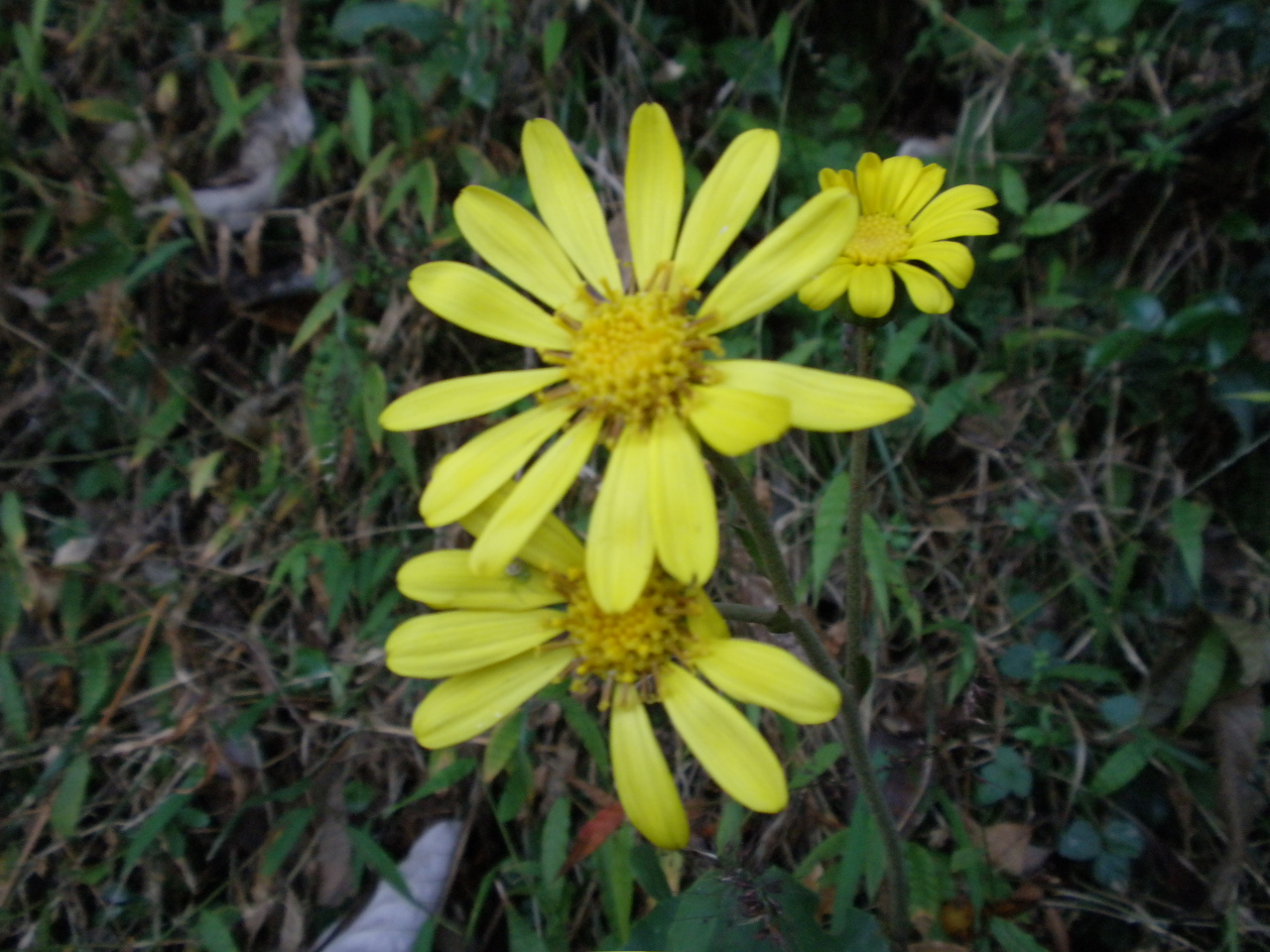 PA302443.JPG