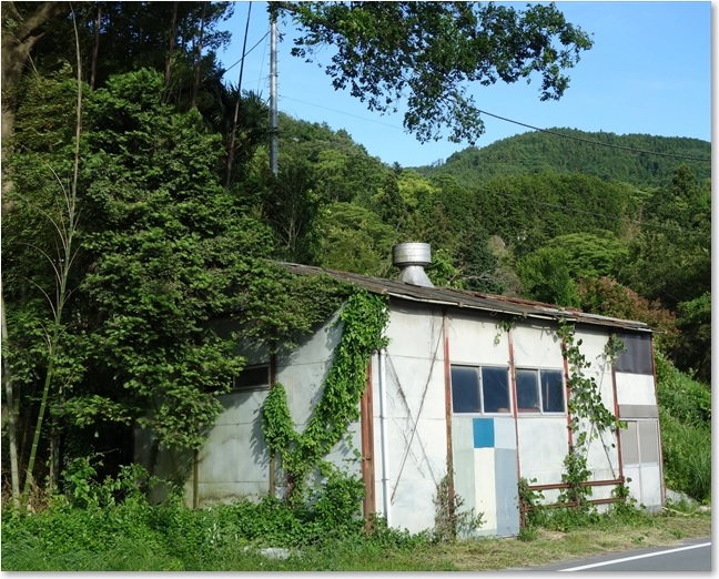 49道路沿いの小屋