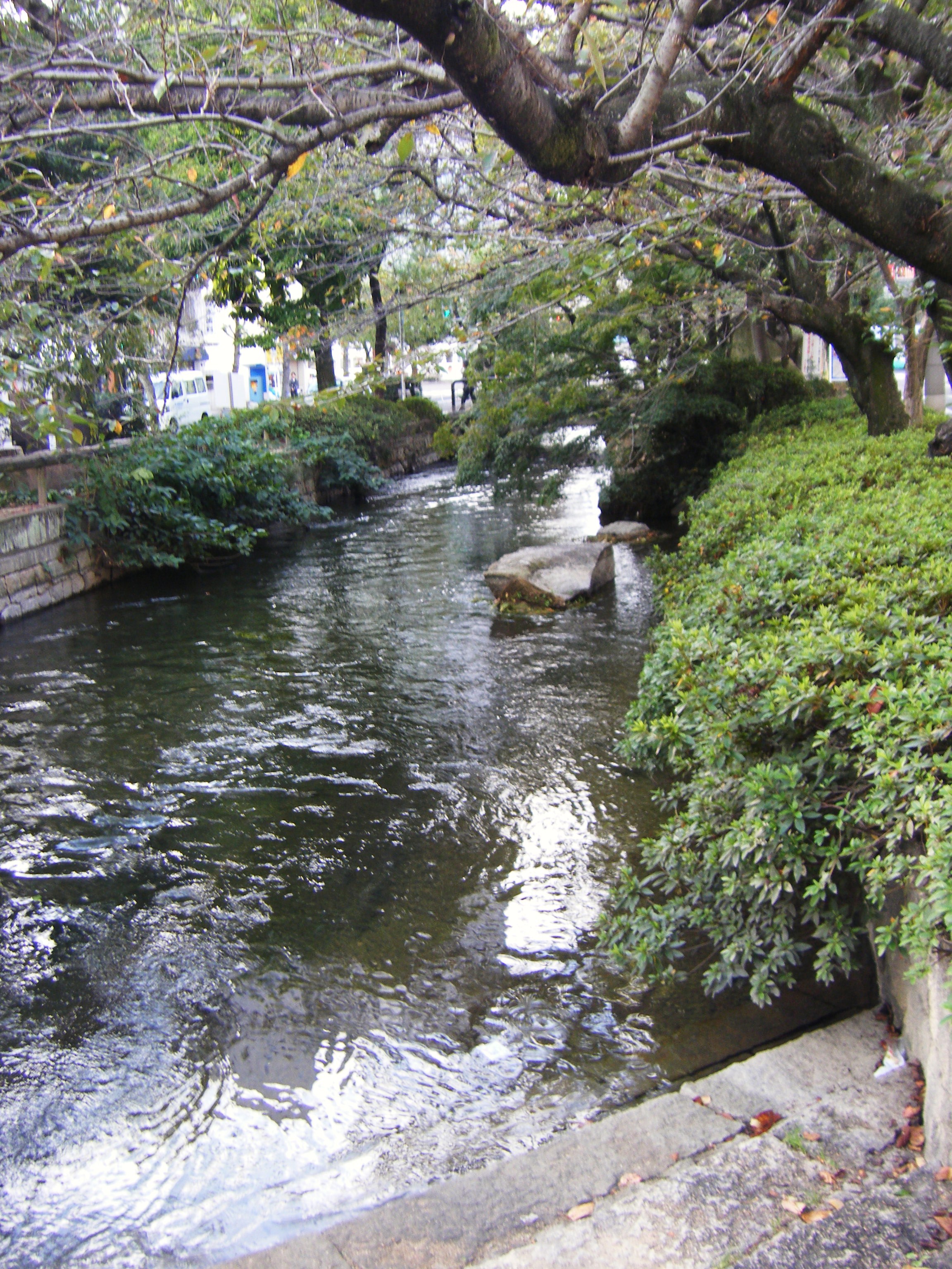 DSCF1154.jpg