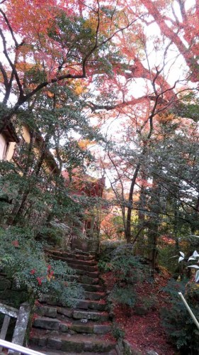 柞原神社 (2).JPG