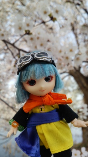 セラフィ05