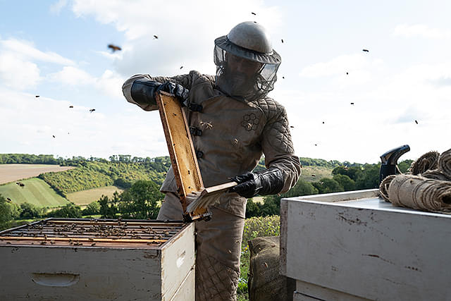 THE BEEKEPER（ビーキーパー）・2.jpg