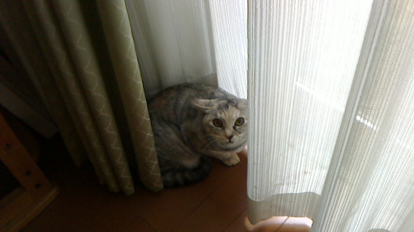 NEC_0763.JPG