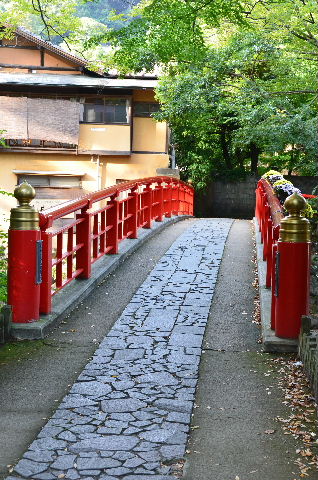 DSC_4676.JPG