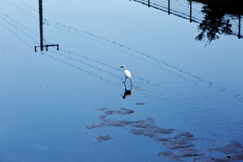 B97A5259 (1024x683).jpg