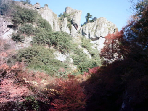 C:\fakepath\shodoshima009.jpg