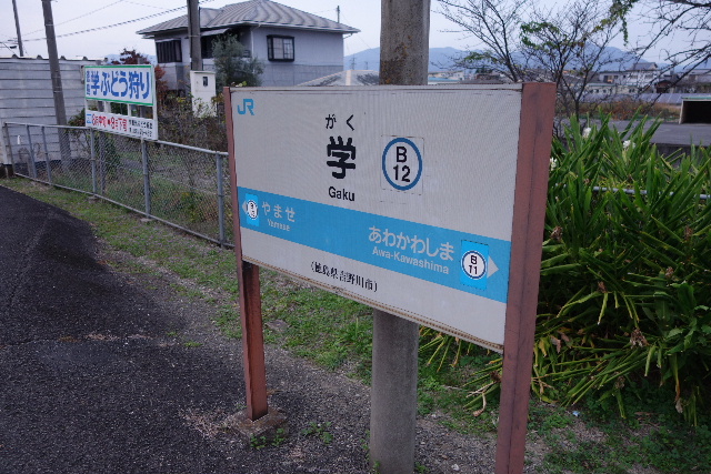 DSC04726.JPG