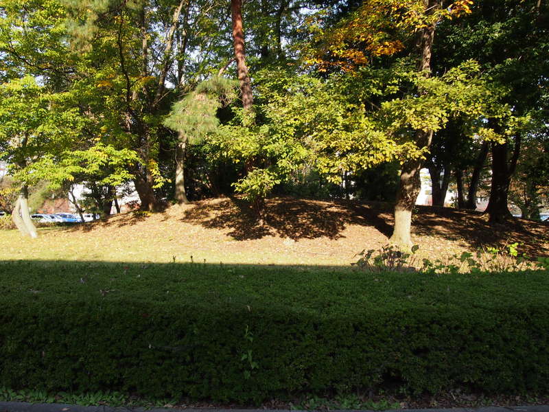 PB080564.JPG