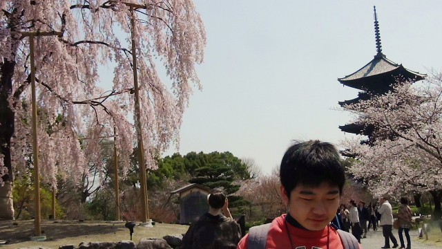 dc0330160.jpg