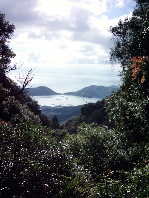 C:\fakepath\shodoshima024.jpg