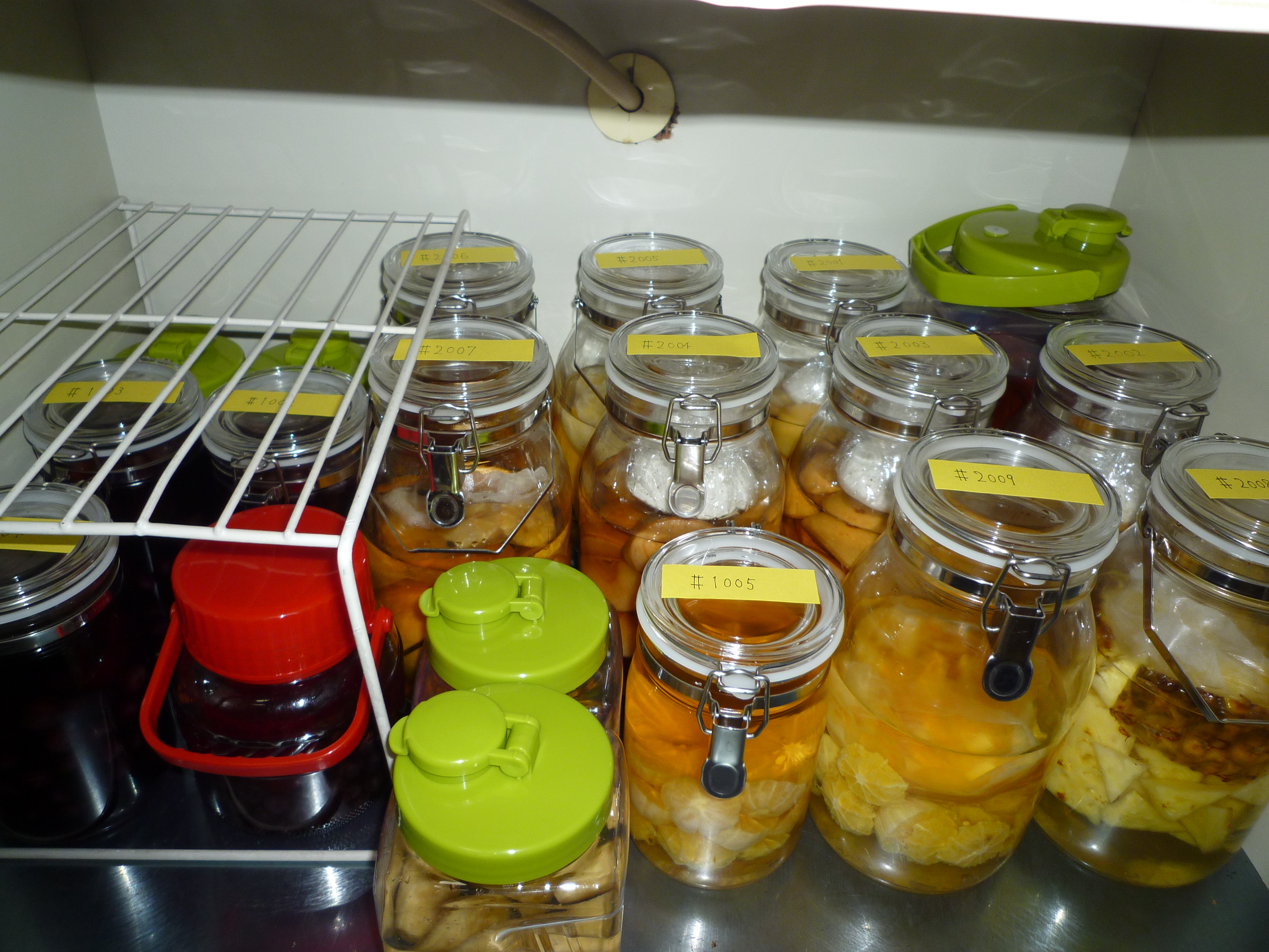 P1000032.JPG