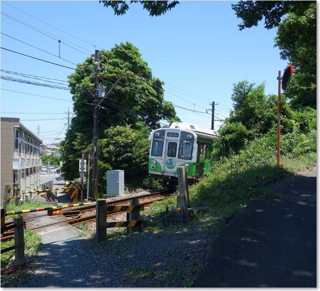 36踏切を通過した【 しでこぶし・1806号 】