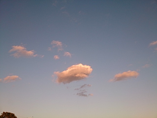 20151218  DSC_0007.jpg