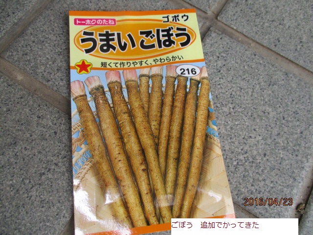 ごぼう.JPG