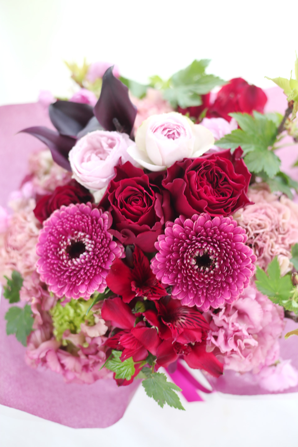 pink5500-484.jpg