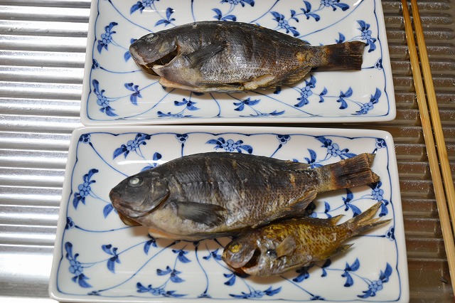 showPhoto (640×426)