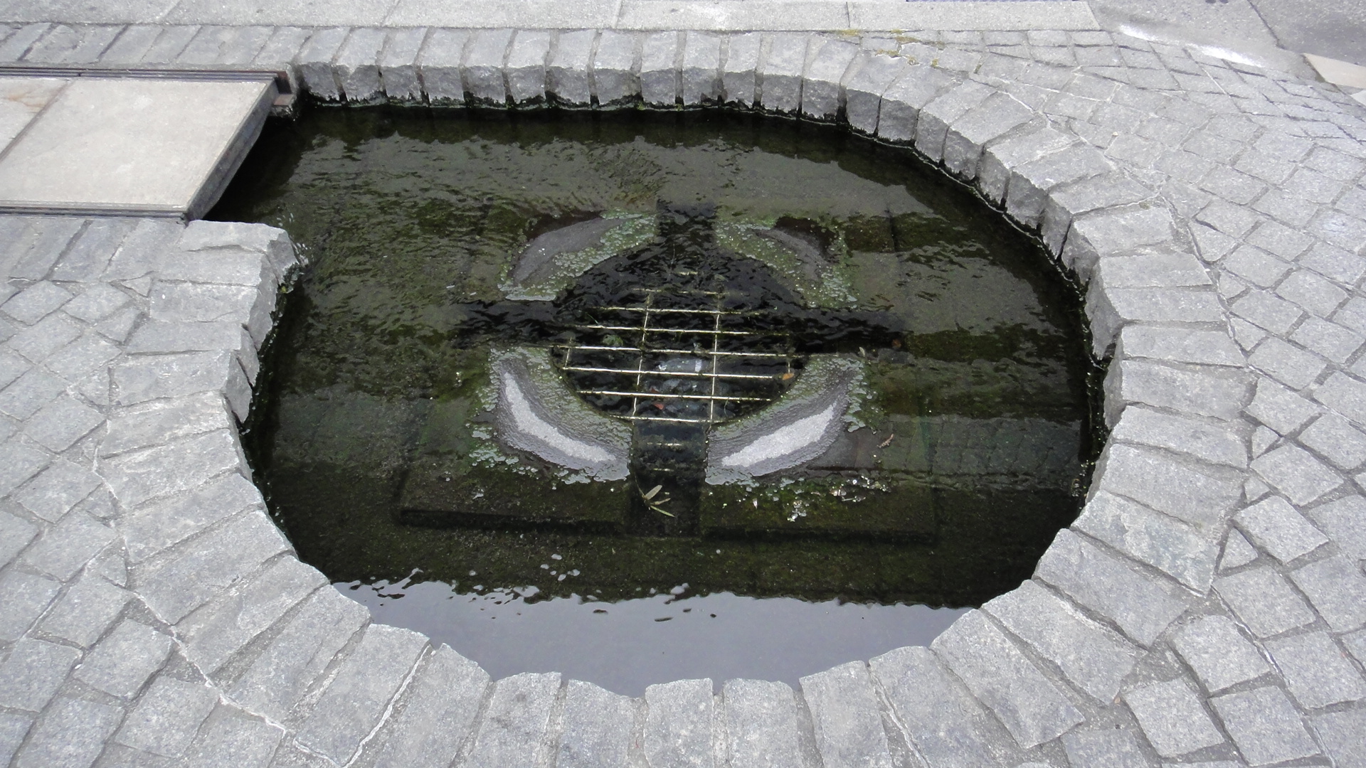 DSC02145.JPG