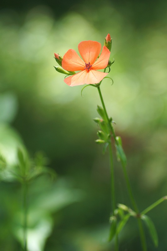 0802-5.jpg