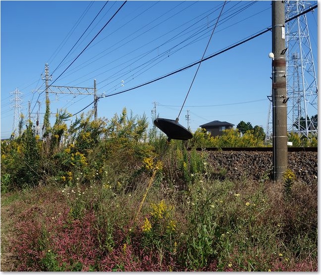 25珍しいオブジェクト